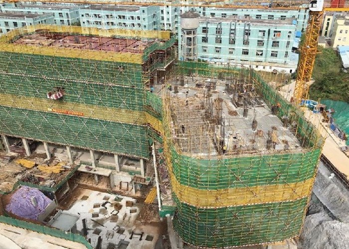 悟空网页版入口